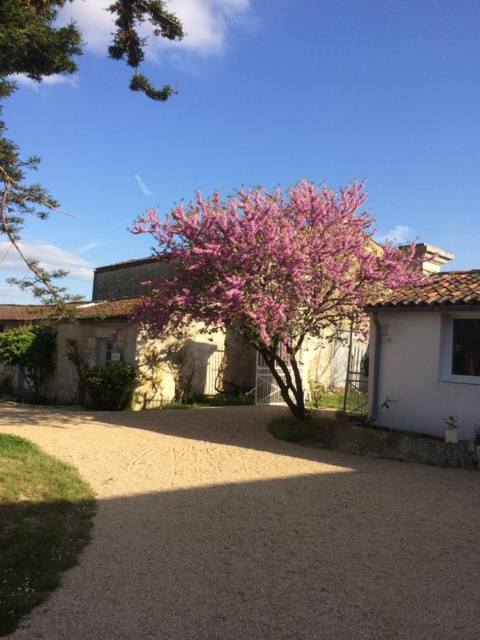 Le Logis Du Plessis Bed and Breakfast Chaniers Eksteriør billede