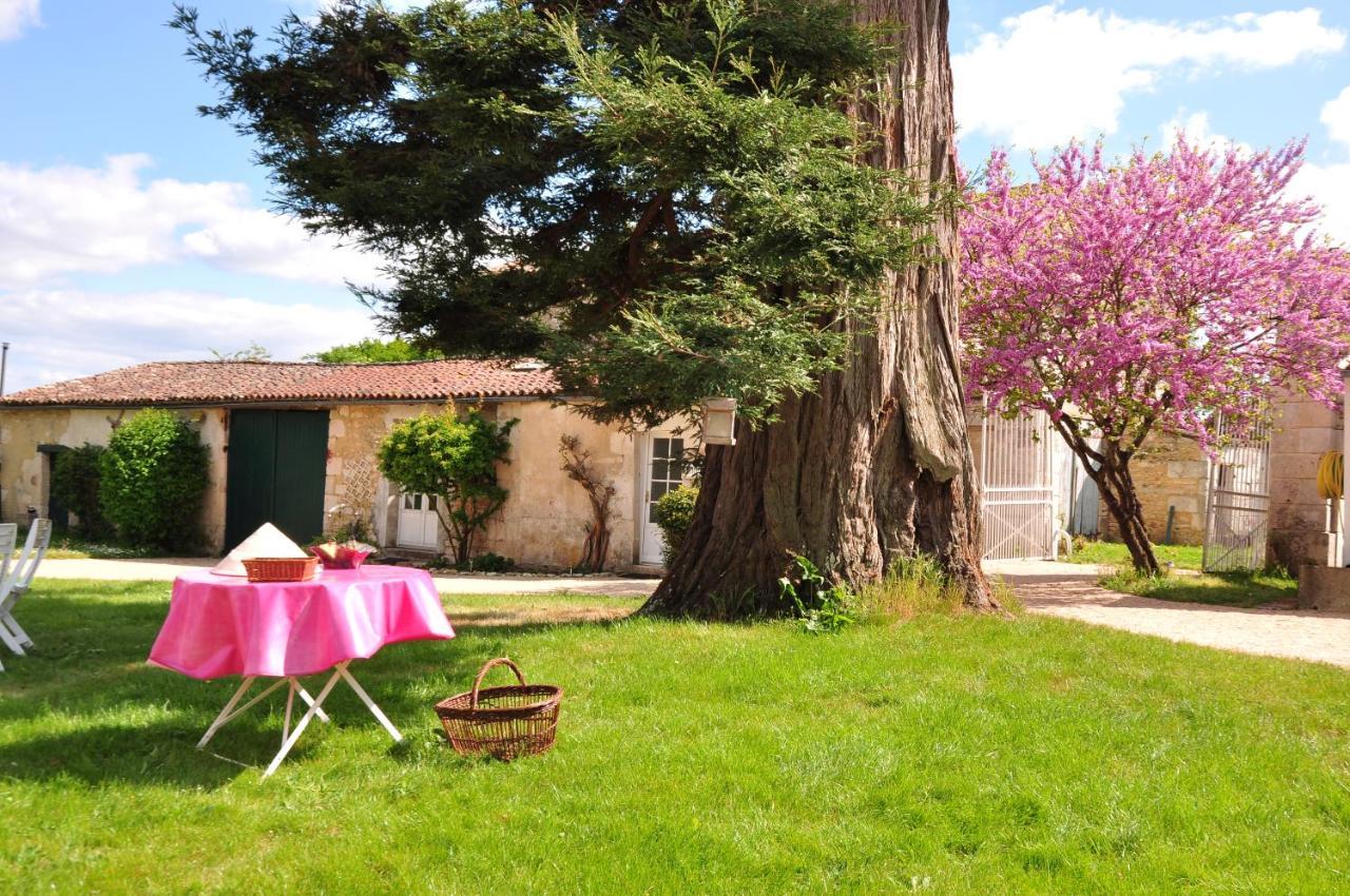 Le Logis Du Plessis Bed and Breakfast Chaniers Eksteriør billede