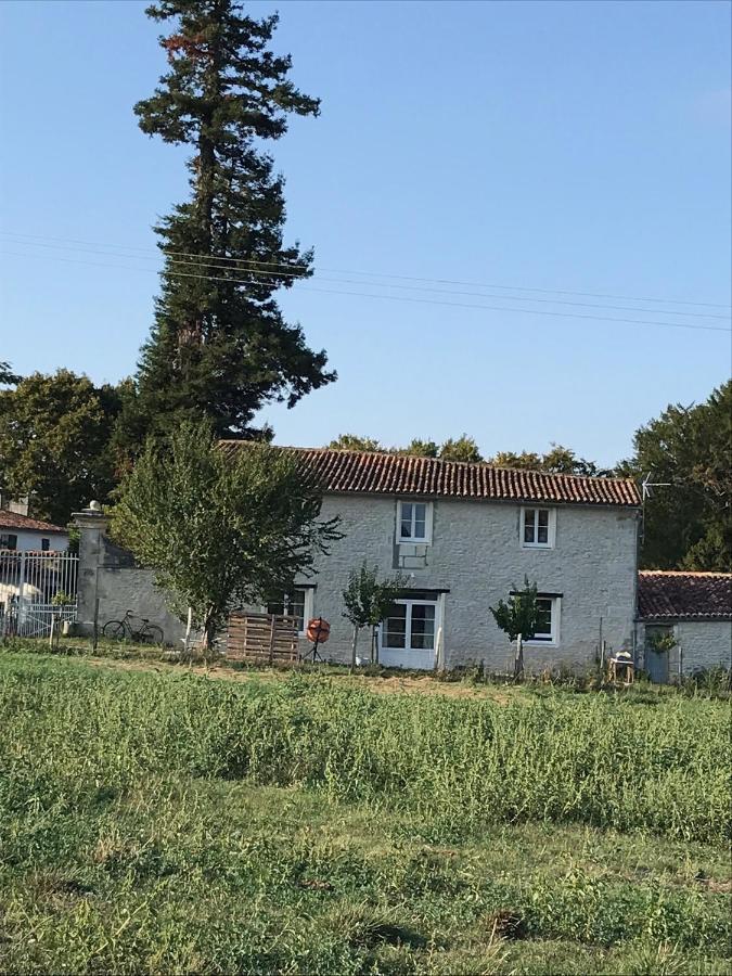 Le Logis Du Plessis Bed and Breakfast Chaniers Eksteriør billede
